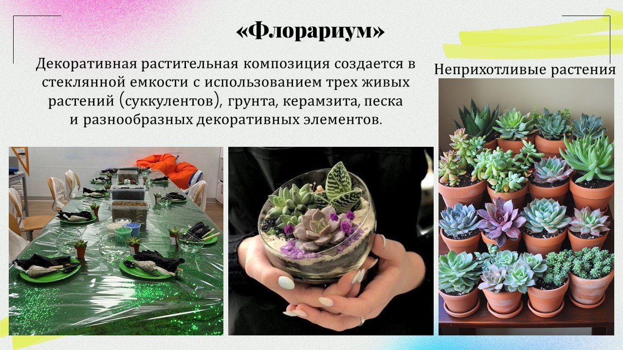 Презентация: Флорариум